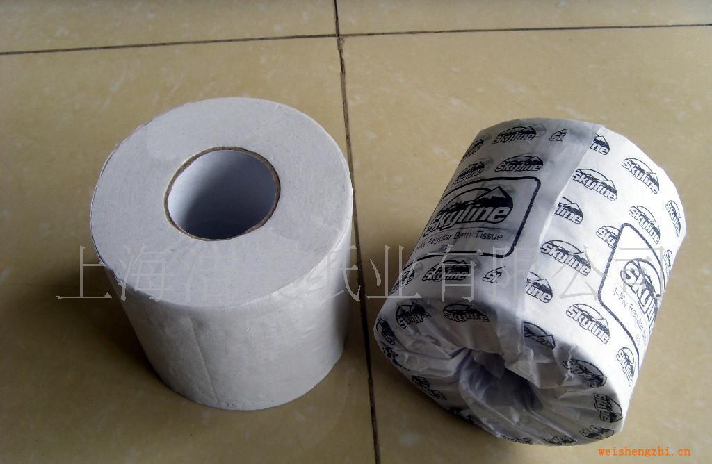 供應出口衛生廁紙,大小盤紙,紙巾