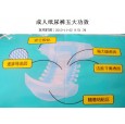 雄縣佰舒康衛生用品有限公司|成人紙尿褲|成人護理墊衛生品招商
