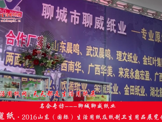 2016山東展會(huì)專訪聊城聊威紙業(yè)李總